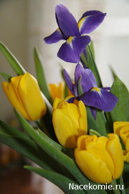 Наши Дни Рождения