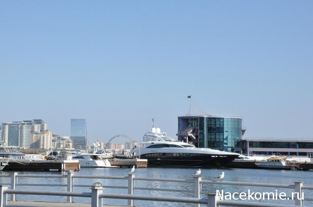 Дамы эпохи - Болталка №2 (соседняя палата)