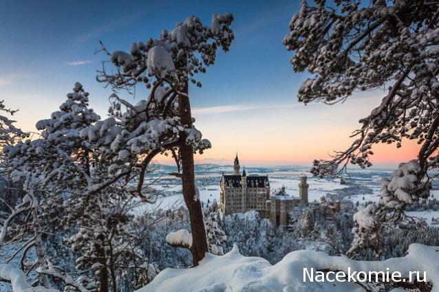 Наши Дни Рождения