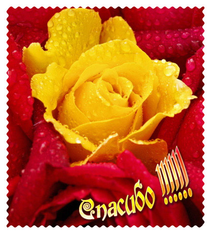 Сладкий Рождественский мини - чулок 2014