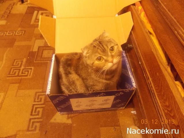 marino4ka1324 - Дом Мечты... Начало...