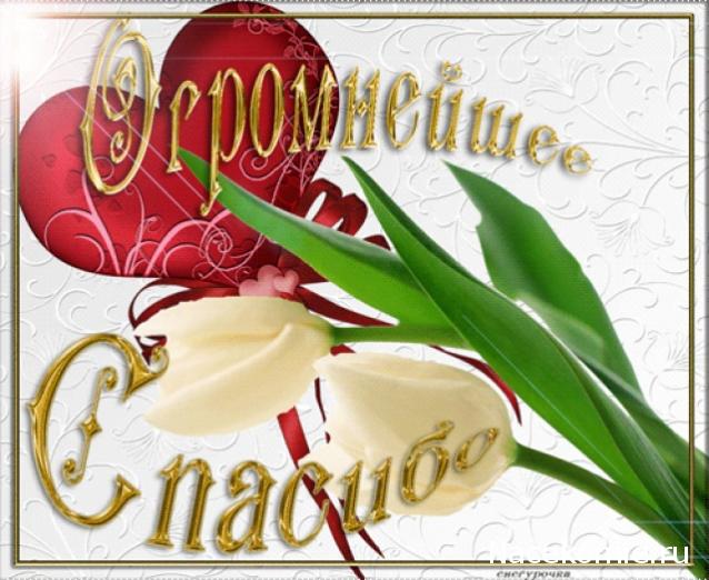 Wazira - Дом на краю России