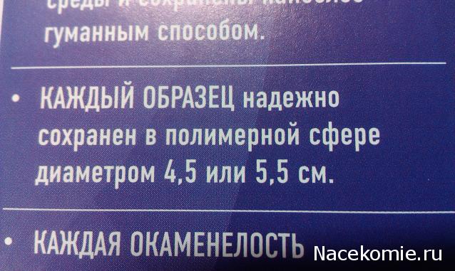 Чудеса Природы - График Выхода и обсуждение