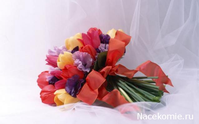 Наши Дни Рождения