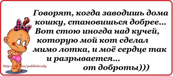 Дом Мечты Болталка: перезагрузка