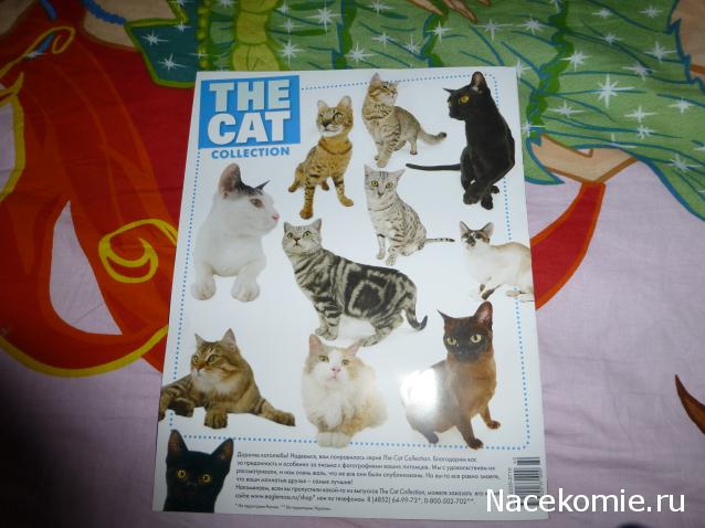 The Cat Collection №60 Тойгер Фото