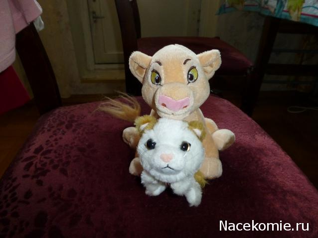 The Cat Collection № 10 Турецкий ван Фото