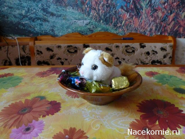 The Cat Collection № 10 Турецкий ван Фото