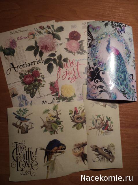 Paranoya - мой скромный домик