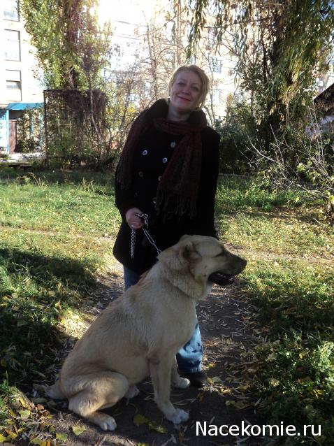 Paranoya - мой скромный домик