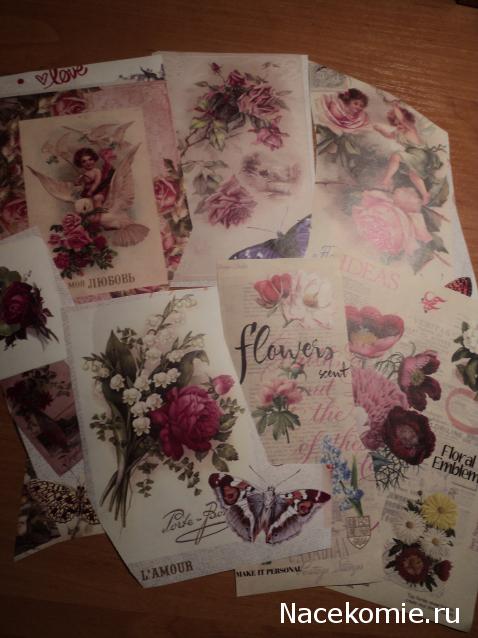 Paranoya - мой скромный домик