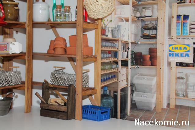 sphynx Канадские сфинксы в английском доме