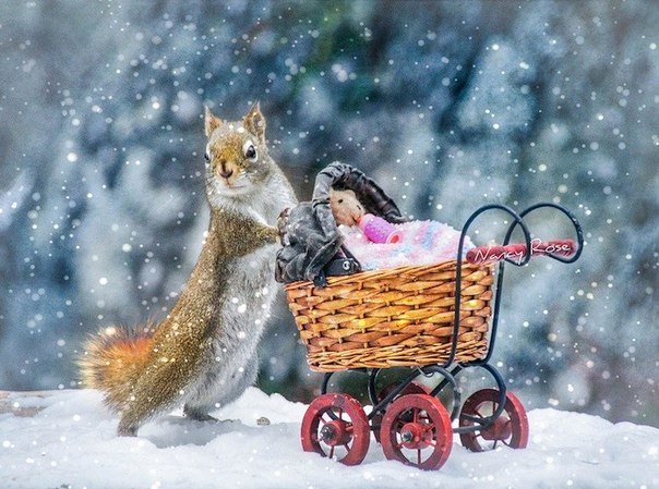 Дом Мечты Болталка: перезагрузка