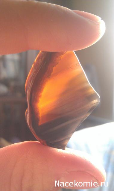 Минералы Сокровища Земли №15 - Агат