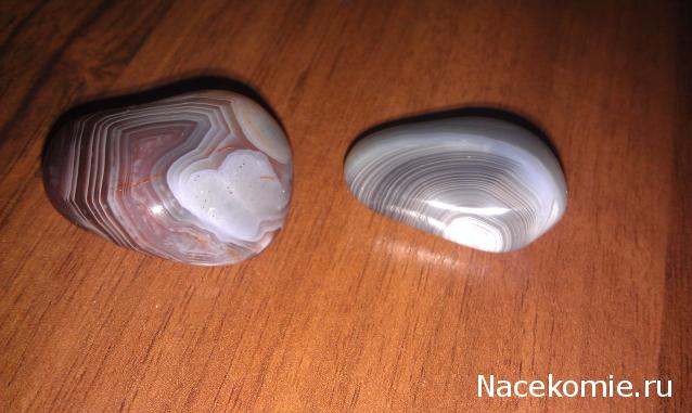 Минералы Сокровища Земли (2013) - График Выхода и обсуждение