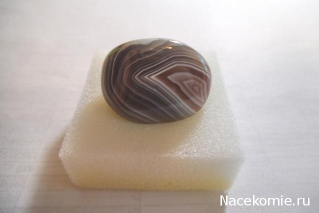 Минералы Сокровища Земли (2013) - График Выхода и обсуждение