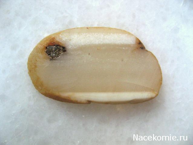 Минералы Сокровища Земли №15 - Агат