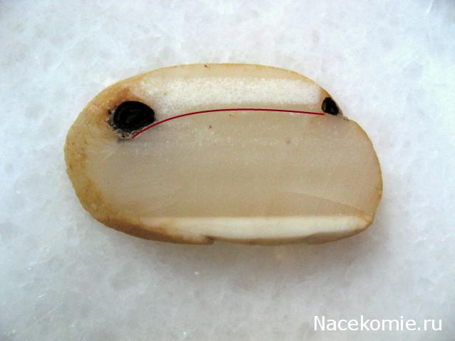 Минералы Сокровища Земли №15 - Агат