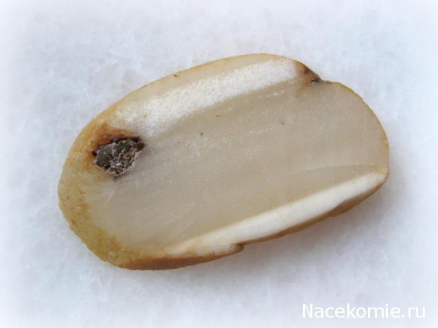 Минералы Сокровища Земли №15 - Агат