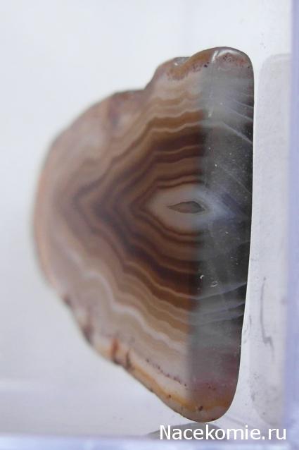 Минералы Сокровища Земли №15 - Агат