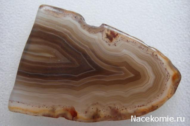 Минералы Сокровища Земли №15 - Агат