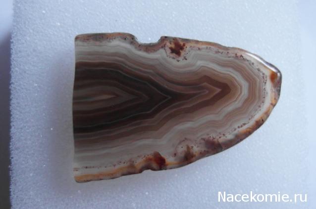 Минералы Сокровища Земли №15 - Агат