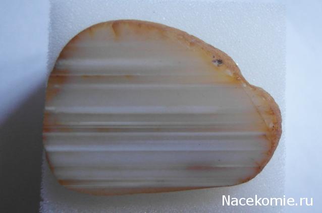 Минералы Сокровища Земли №15 - Агат