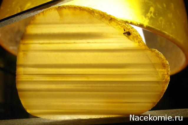 Минералы Сокровища Земли №15 - Агат