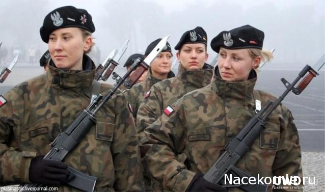 Наполеоновские Войны - Угадай армию