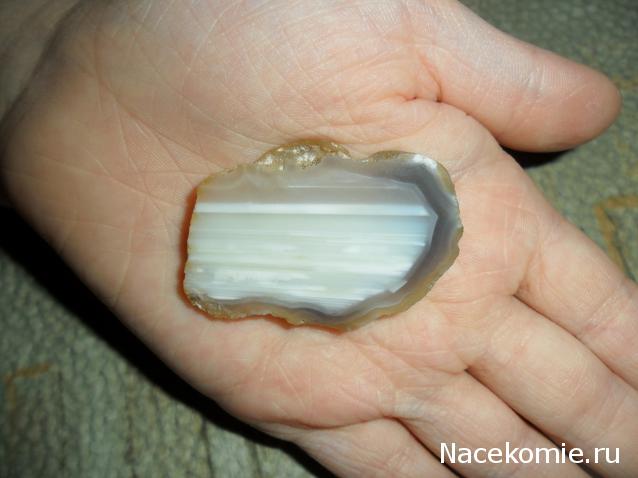 Минералы Сокровища Земли №15 - Агат