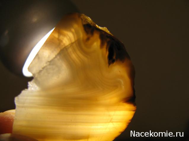 Минералы Сокровища Земли №15 - Агат