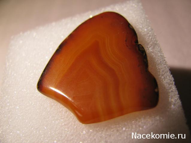 Минералы Сокровища Земли №15 - Агат