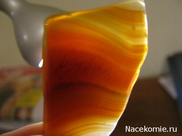 Минералы Сокровища Земли №15 - Агат