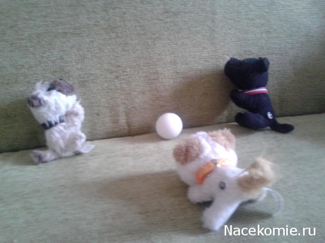 The Cat Collection № 10 Турецкий ван Фото