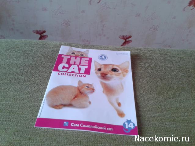 The Cat Collection №14 Сомалийский кот Фото