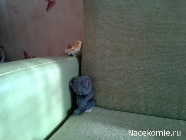 The Cat Collection № 3 Русская голубая Фото