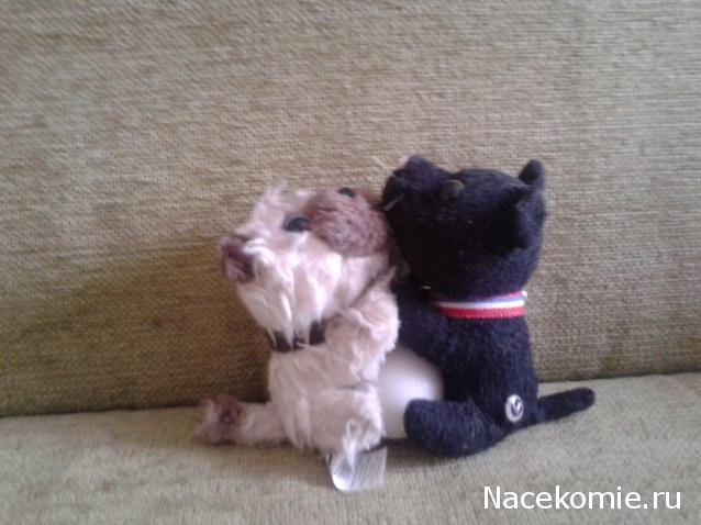 The Cat Collection № 10 Турецкий ван Фото