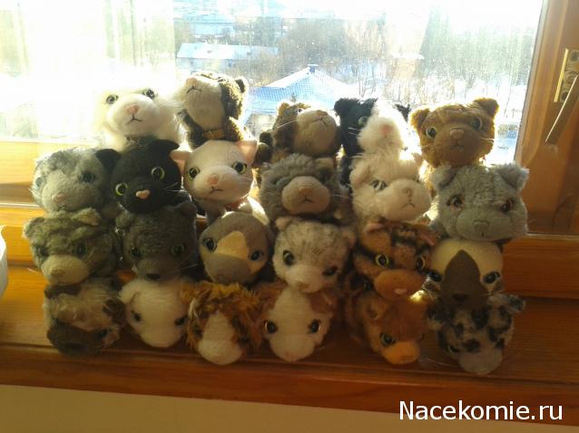 Кошкин дом. Болталка The Cat Collection