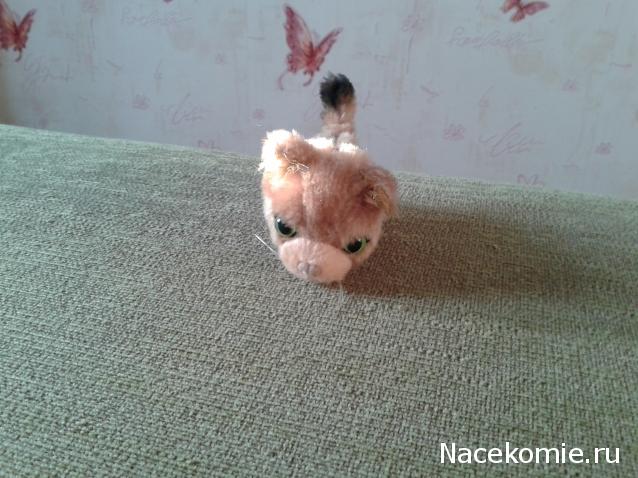 The Cat Collection №14 Сомалийский кот Фото