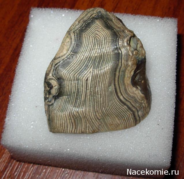 Минералы Сокровища Земли №15 - Агат