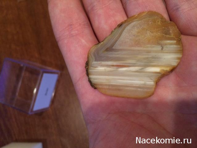 Минералы Сокровища Земли №15 - Агат