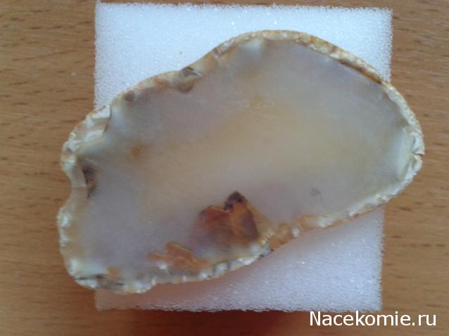 Минералы Сокровища Земли №15 - Агат