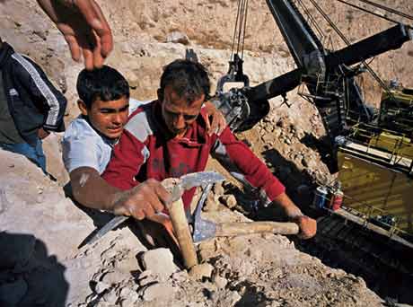 Чудеса Природы №1 - Окаменелый зуб акулы