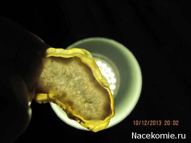 Минералы Сокровища Земли №15 - Агат