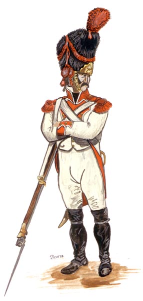 Наполеоновские Войны - Угадай армию