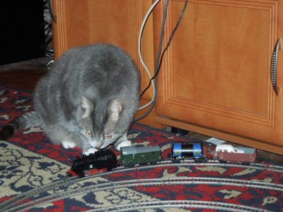 Тестовая серия