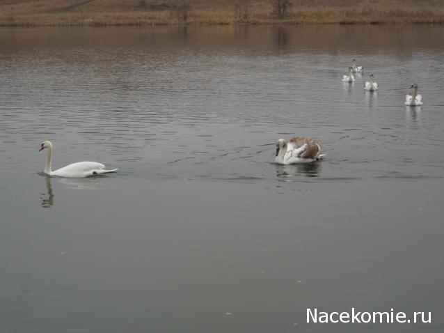 Мой любимый город или дорогие сердцу места