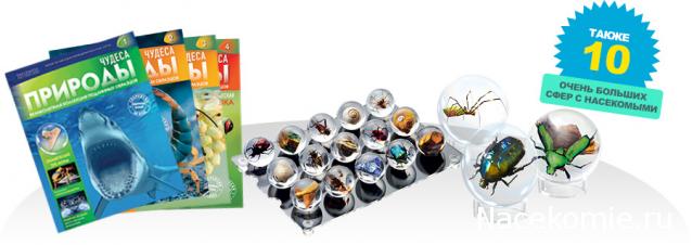 Чудеса Природы - График Выхода и обсуждение