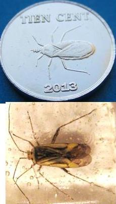 Strela. Банкноты и монеты - путешествие по свету!