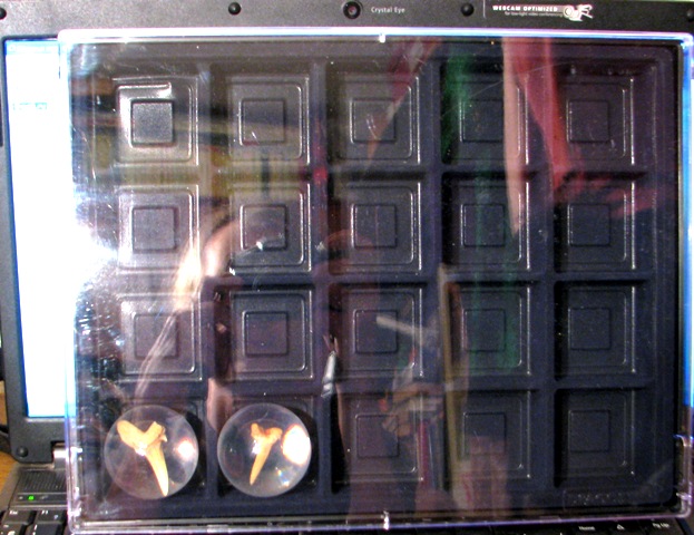 Чудеса Природы - График Выхода и обсуждение